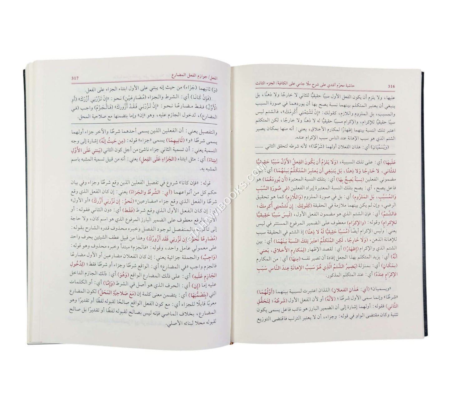 حاشية محرم أفندي على شرح ملا جامي على الكافية المسمى (الفوائد الضيائية)