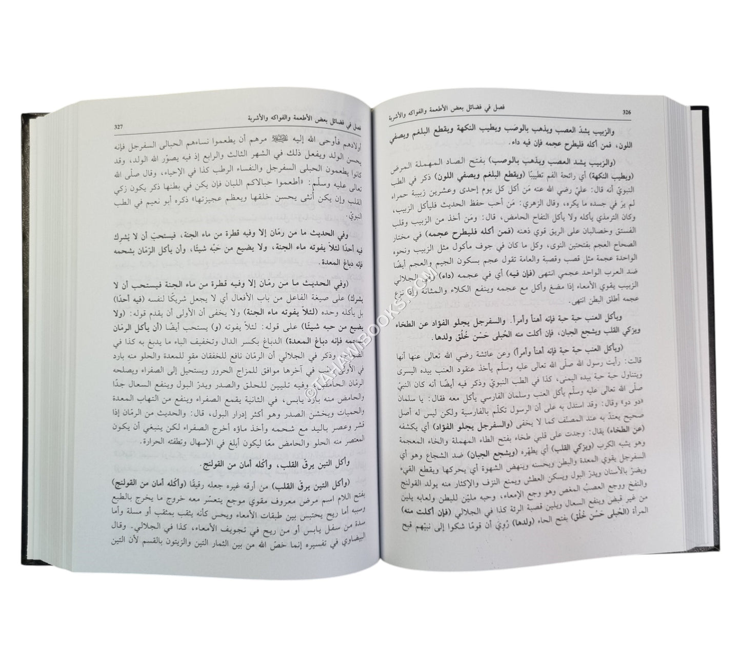 مفاتيح الجنان في شرح شرعة الإسلام للإمام زاده الحنفي