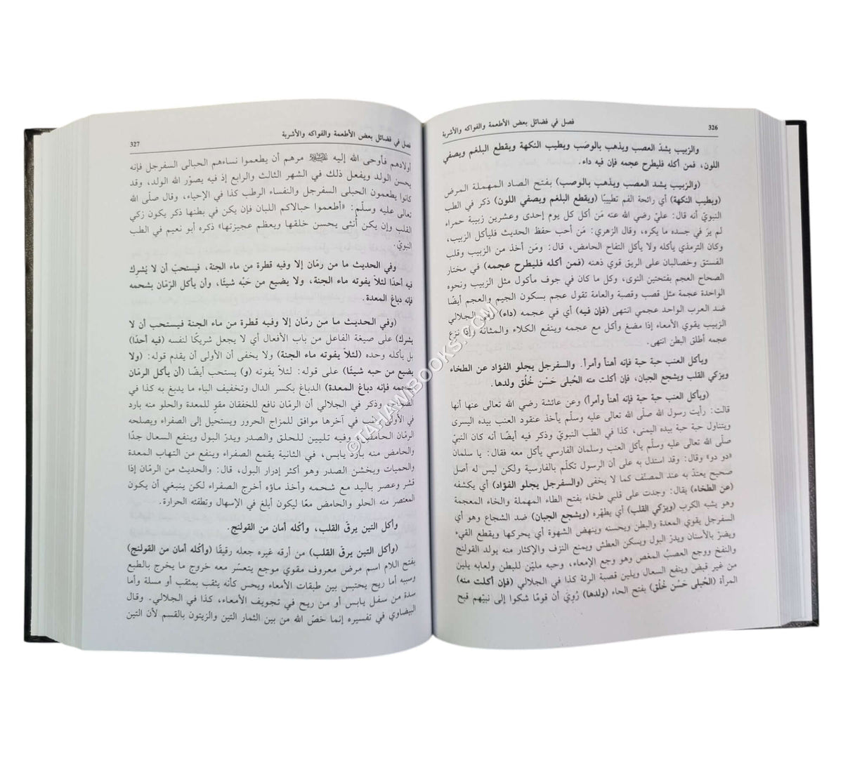 مفاتيح الجنان في شرح شرعة الإسلام للإمام زاده الحنفي