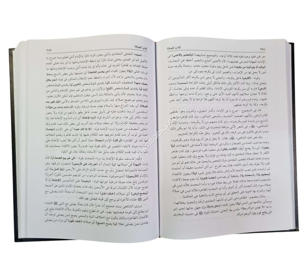 فيض الإله المالك في حل ألفاظ عمدة السالك وعدة الناسك-العلمية