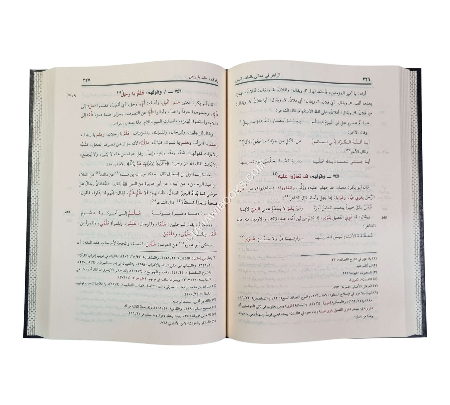 الزاهر في معاني كلمات الناس-الرسالة ناشرون
