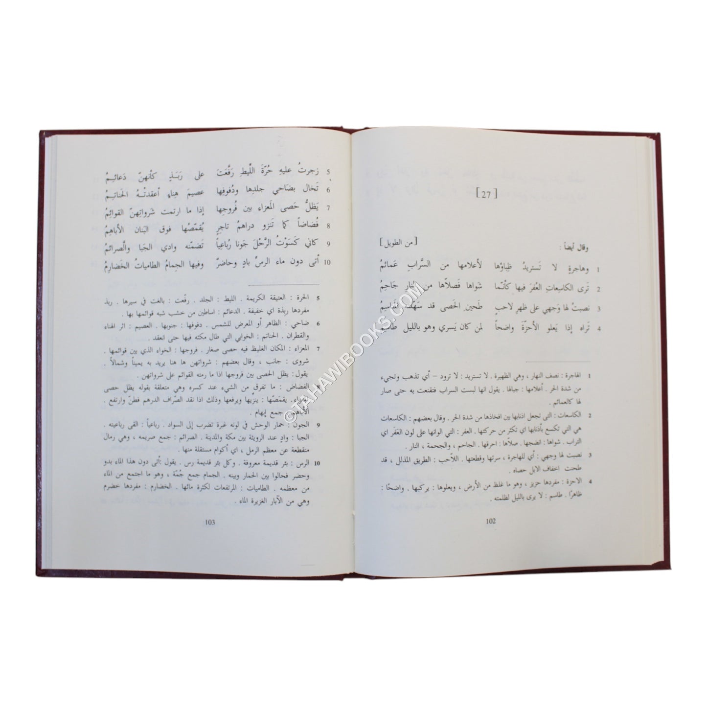 ديوان كعب بن زهير-صادر