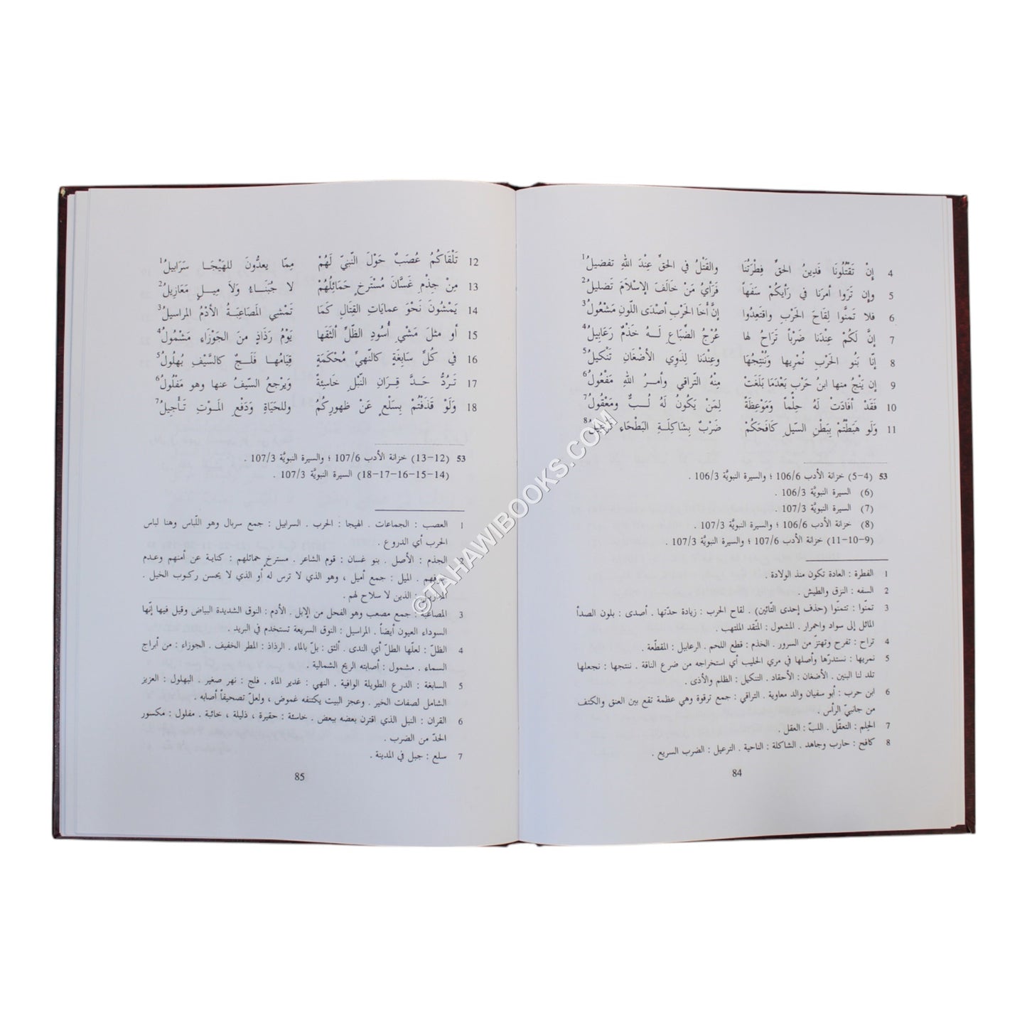 ديوان كعب بن مالك الأنصاري-صادر