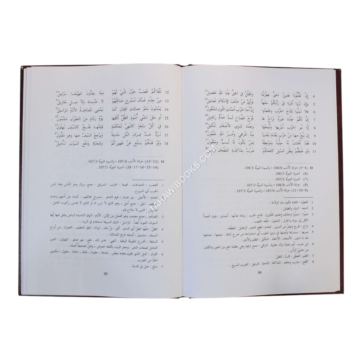 ديوان كعب بن مالك الأنصاري-صادر