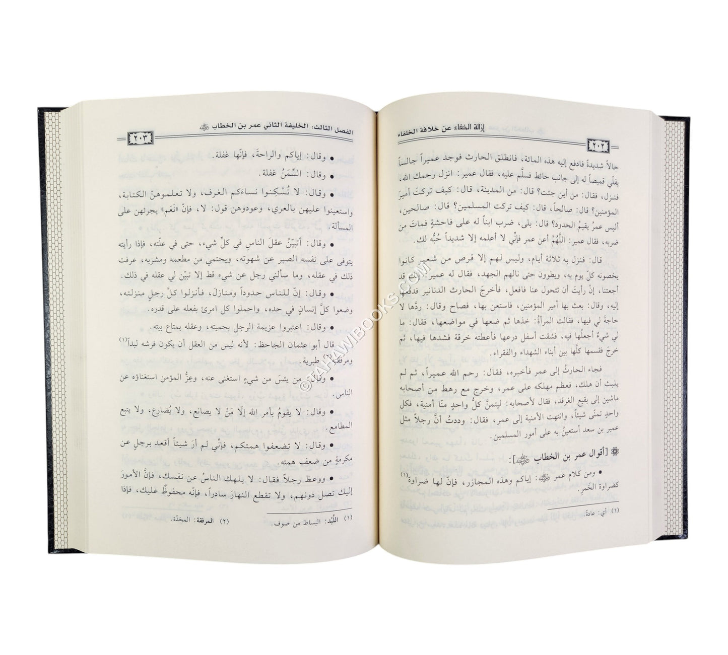 إزالة الخفاء عن خلافة الخلفاء