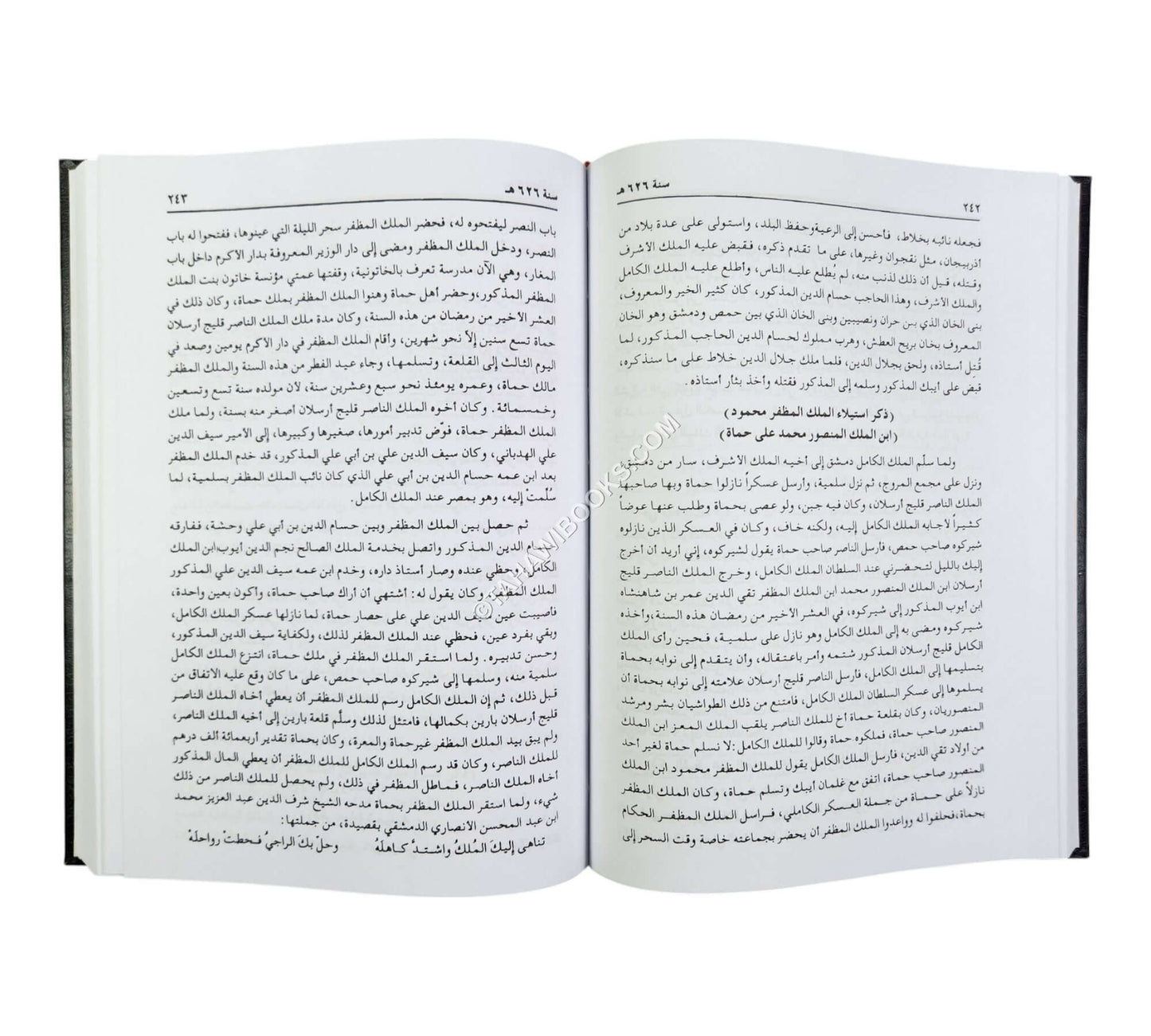 تاريخ أبي الفداء:المختصر في أخبار البشر