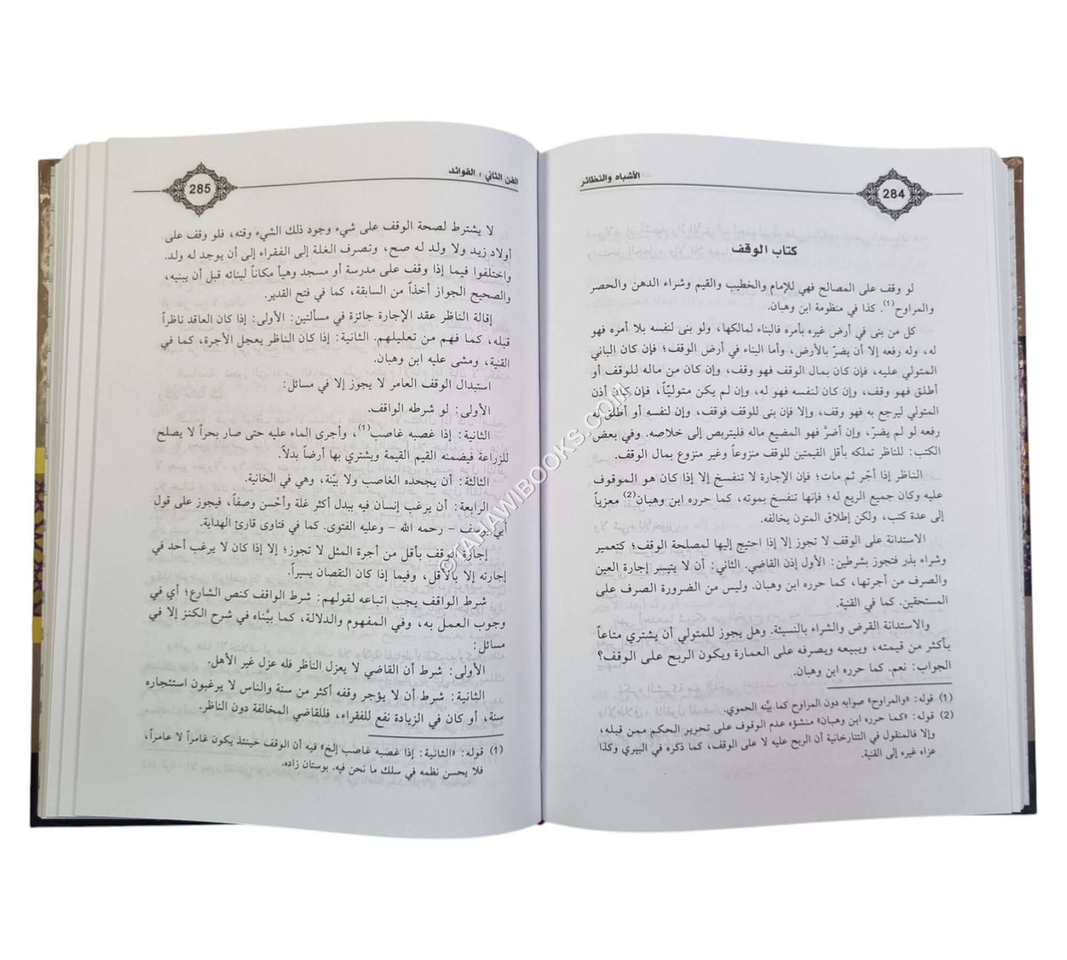 الأشباه والنظائر مع تعليق ابن عابدين