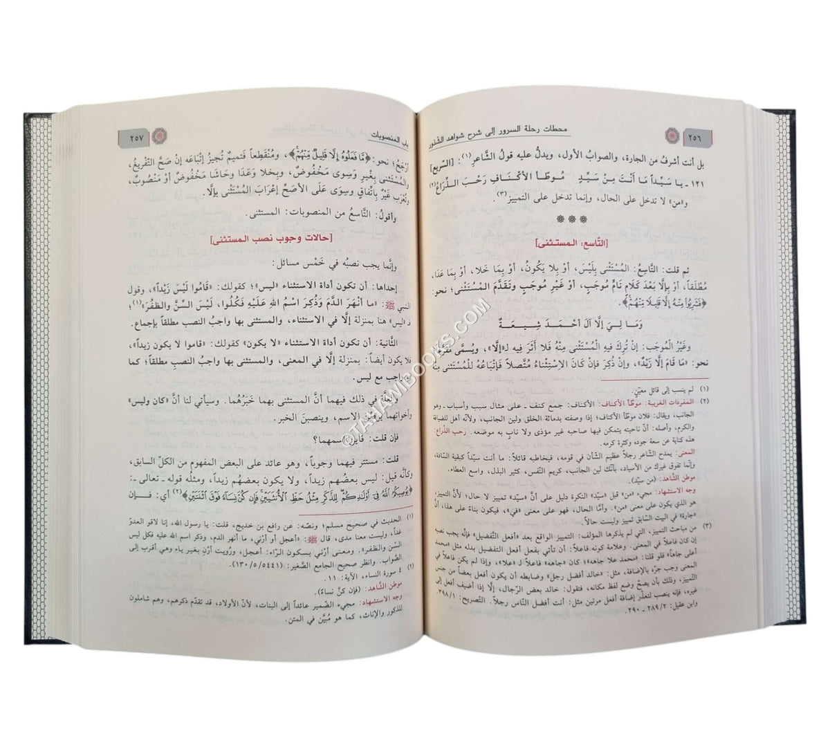 شرح شذور الذهب في معرفة كلام العرب-ابن كثير