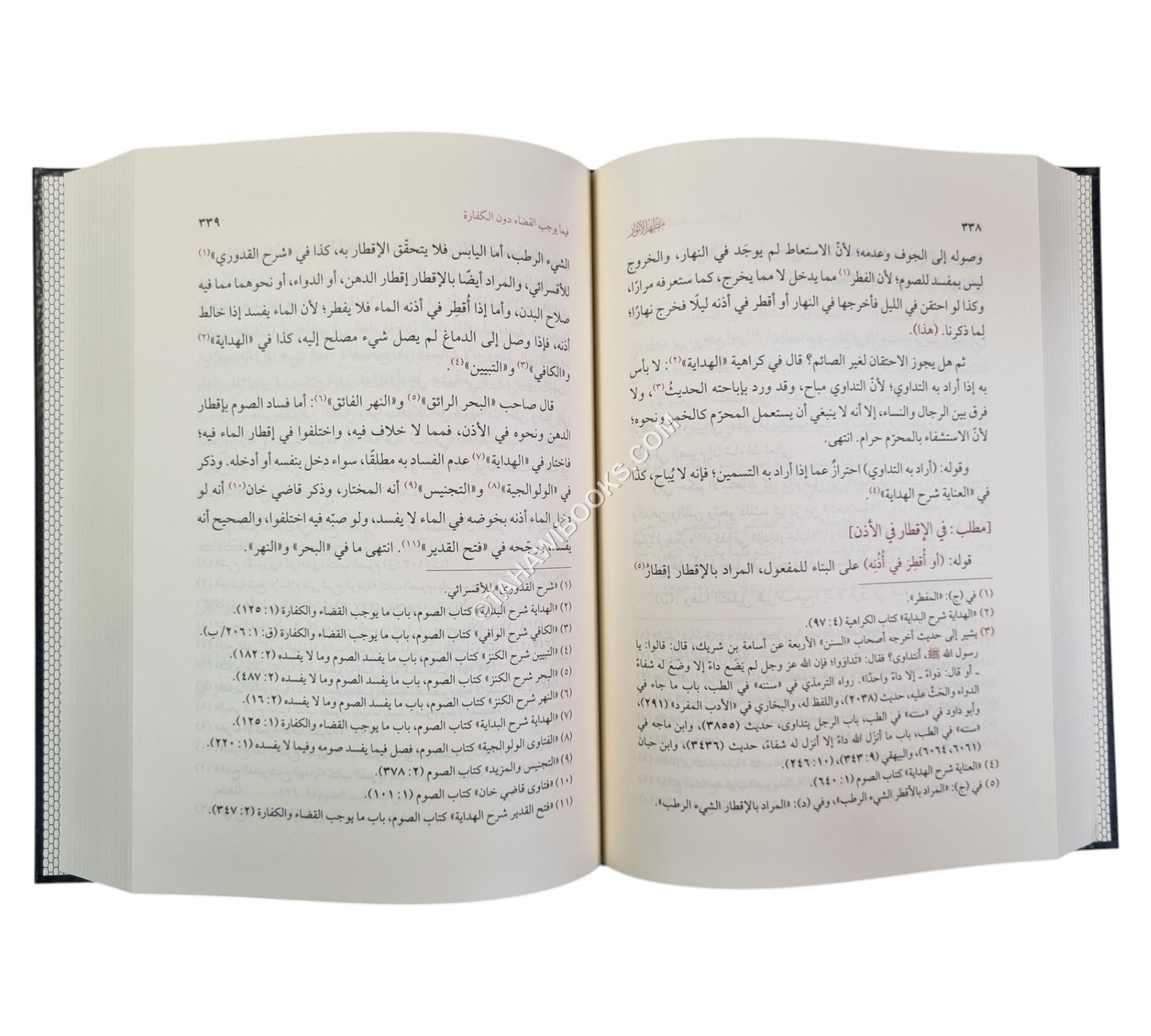 مظهر الأنوار في أحكام الصيام على مذهب الحنفية