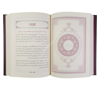 العناية في تحقيق الأحاديث الغريبة في الهداية
