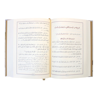 إيضاح المسالك الى منهاج السالك