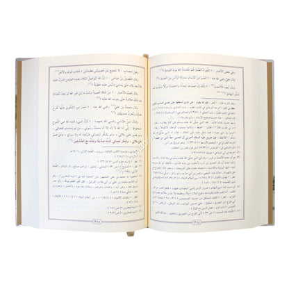 إيضاح المسالك الى منهاج السالك