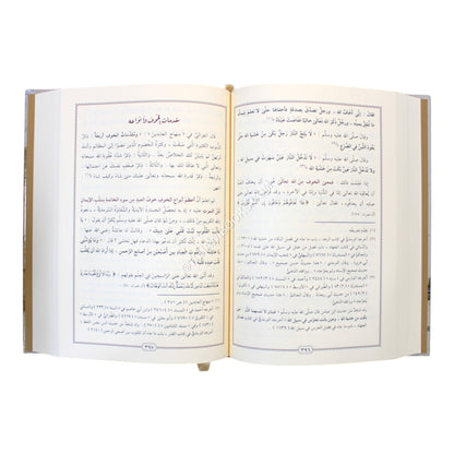 إيضاح المسالك الى منهاج السالك