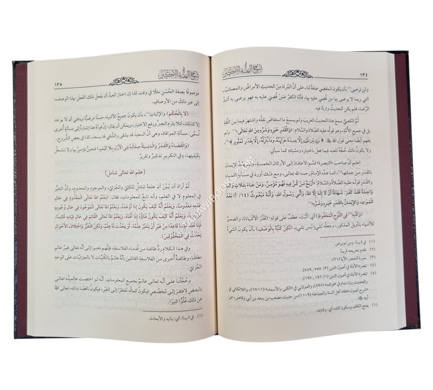شرح الفقه الأكبر للبخاري