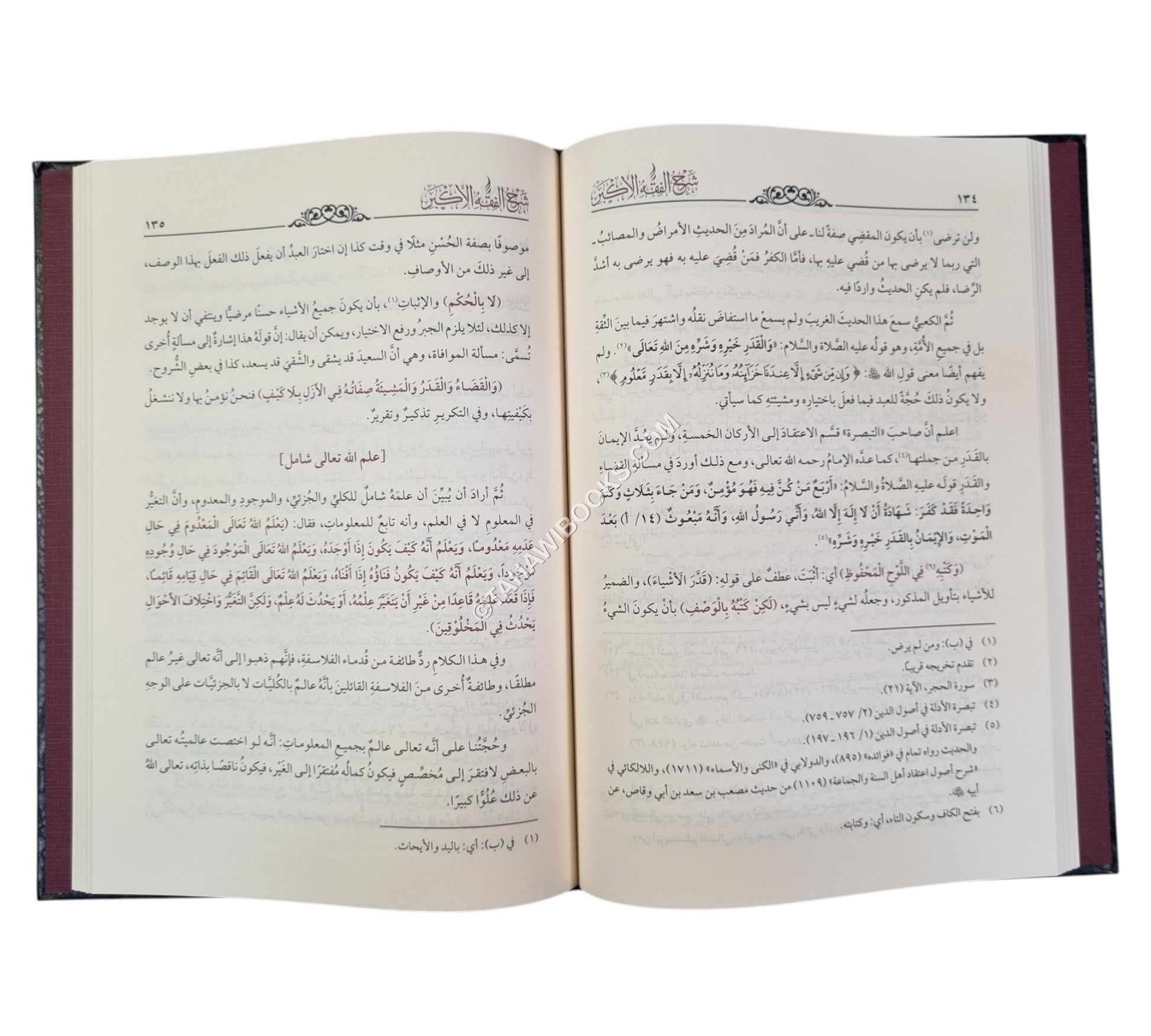 شرح الفقه الأكبر للبخاري
