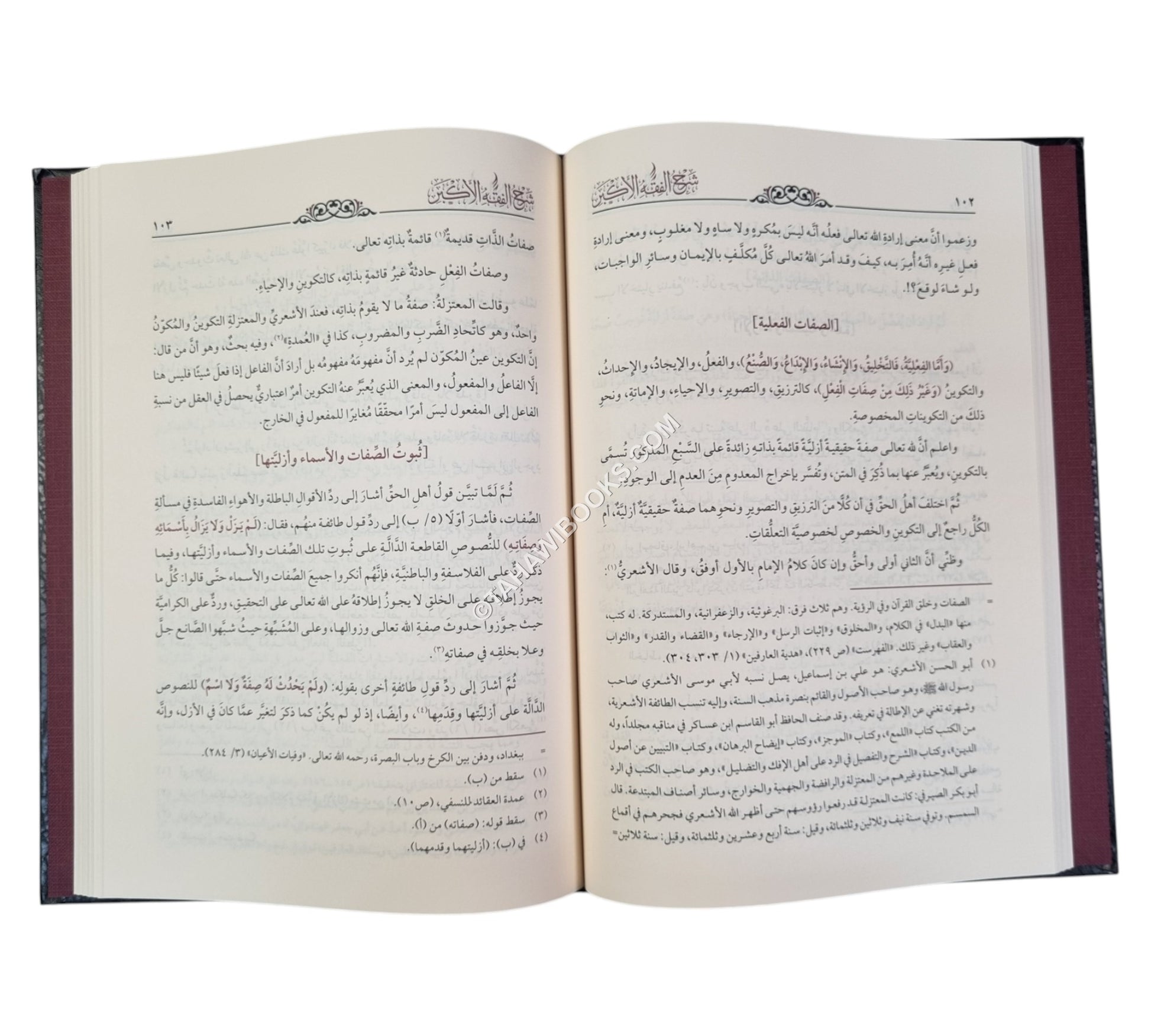 شرح الفقه الأكبر للبخاري