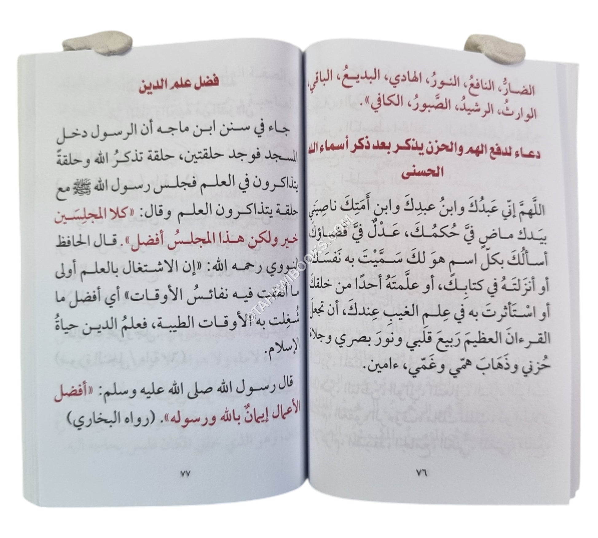الحصين الحصين من كلام سيد المرسلين-المشاريع-جيب