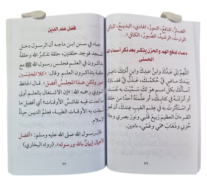 الحصين الحصين من كلام سيد المرسلين-المشاريع-جيب