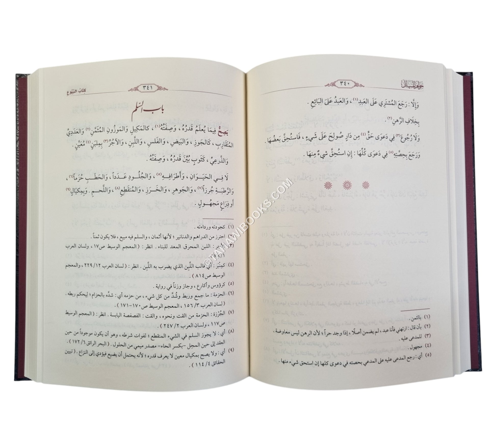 جواهر المسائل في الفقه الحنفي