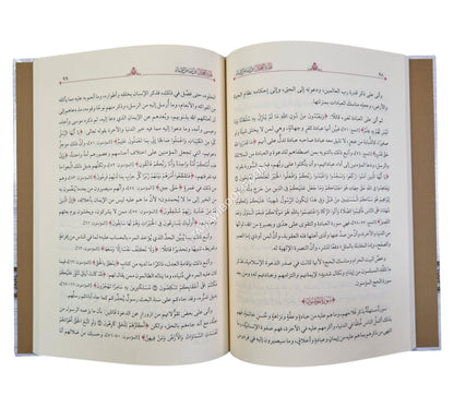 نظرة العجلان في أغراض القرآن