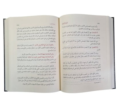 الطريقة الصغيرة في مسائل الخلاف