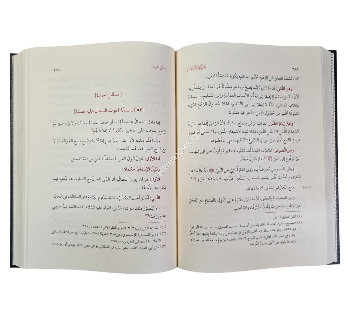 الطريقة الصغيرة في مسائل الخلاف