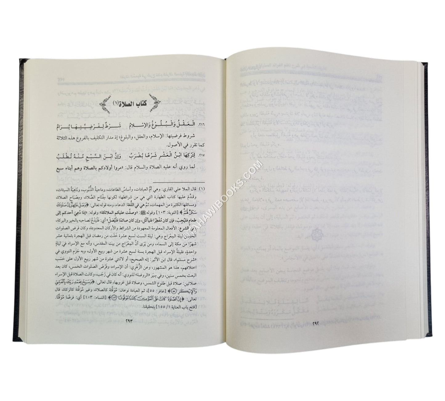 الفوائد السمية في شرح نظم الفرائد السنية في فروع الفقه