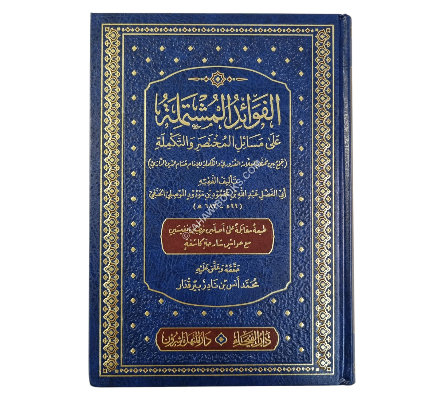الفوائد المشتملة على مسائل المختصر والتكملة