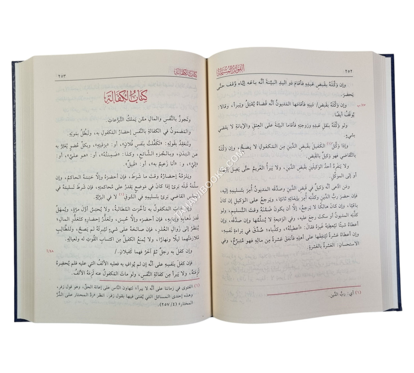 الفوائد المشتملة على مسائل المختصر والتكملة