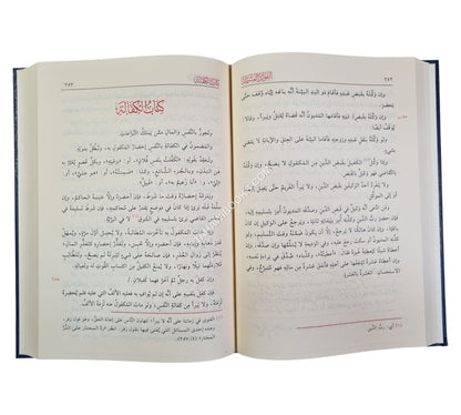 الفوائد المشتملة على مسائل المختصر والتكملة