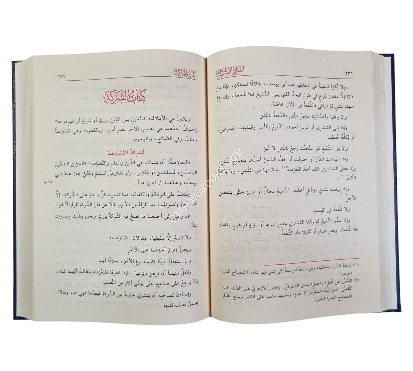 الفوائد المشتملة على مسائل المختصر والتكملة