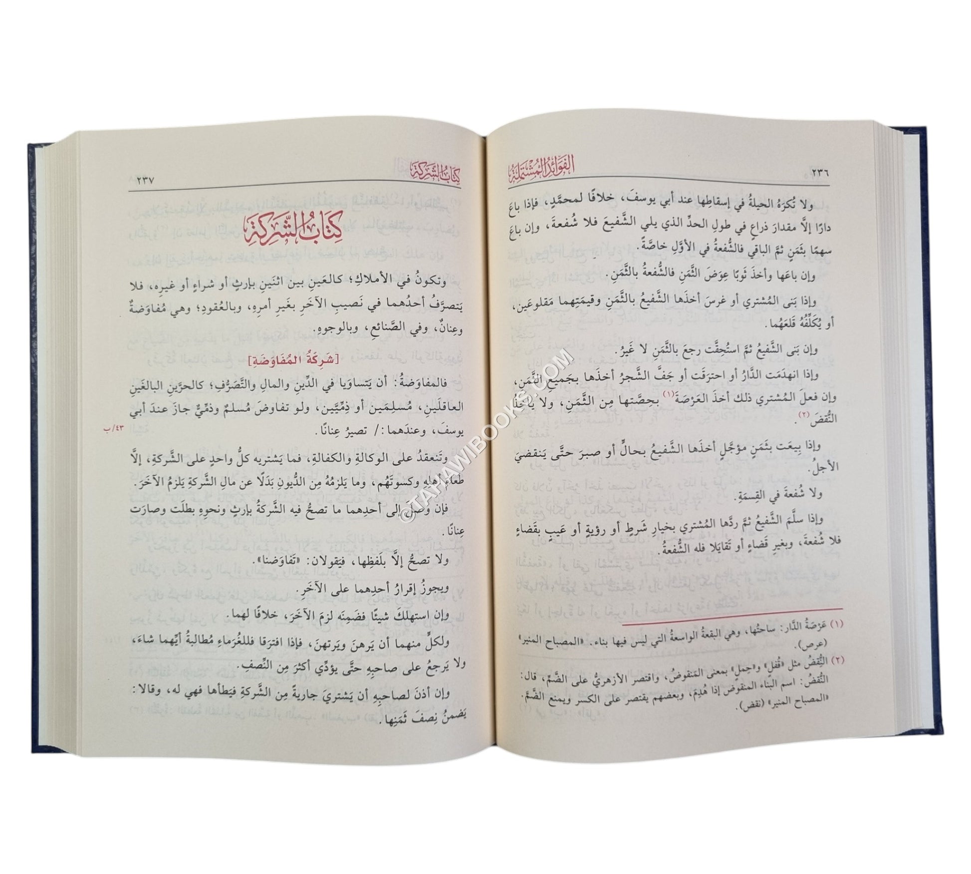 الفوائد المشتملة على مسائل المختصر والتكملة