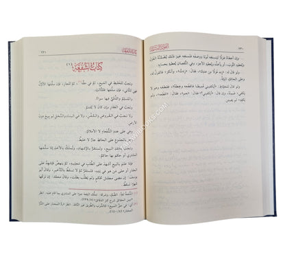 الفوائد المشتملة على مسائل المختصر والتكملة
