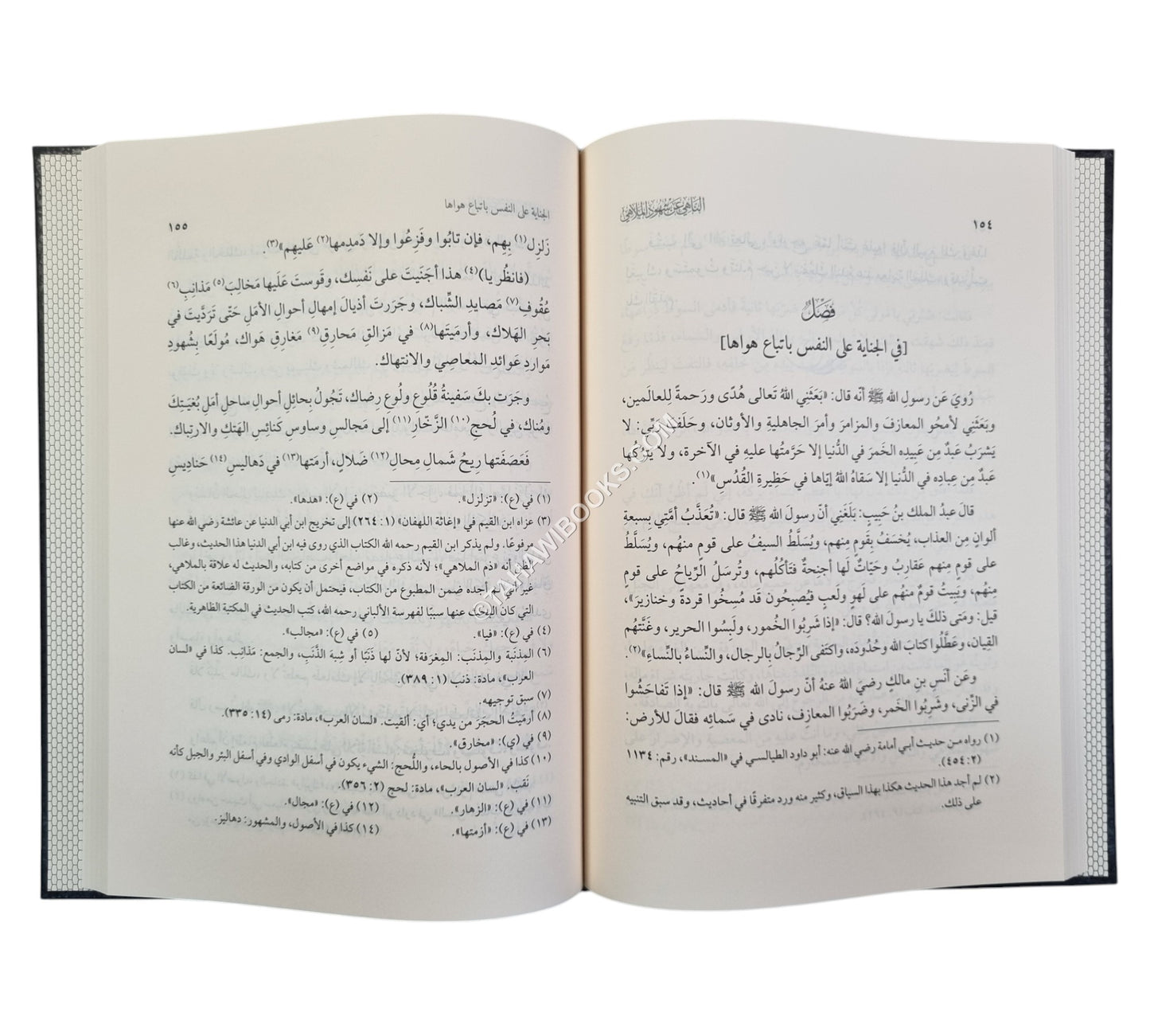 الناهي عن شهود الملاهي وارتكاب المناهي
