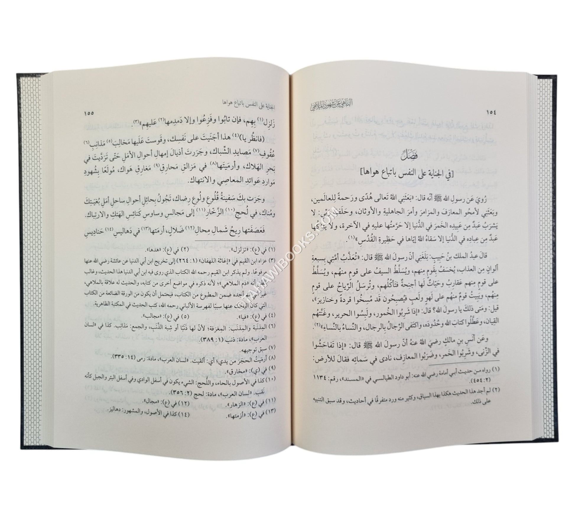 الناهي عن شهود الملاهي وارتكاب المناهي