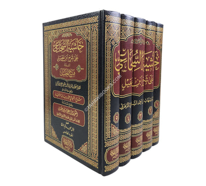 حاشية السجاعي على شرح ابن عقيل
