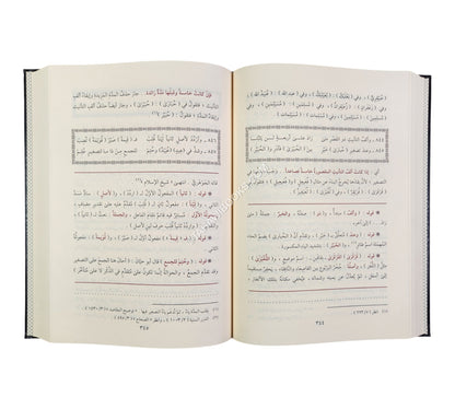 حاشية السجاعي على شرح ابن عقيل