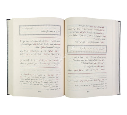حاشية السجاعي على شرح ابن عقيل