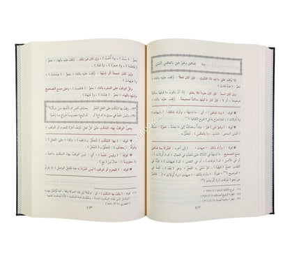 حاشية السجاعي على شرح ابن عقيل