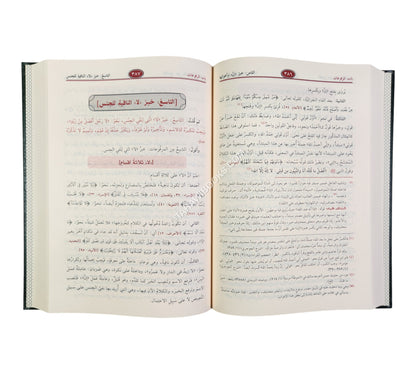 شرح شذور الذهب مع تعليق محمد محي الدين عبد الحميد-الرسالة ناشرون