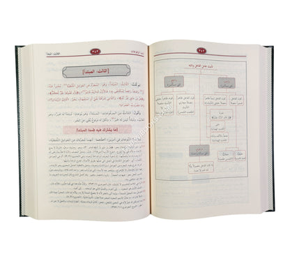 شرح شذور الذهب مع تعليق محمد محي الدين عبد الحميد-الرسالة ناشرون