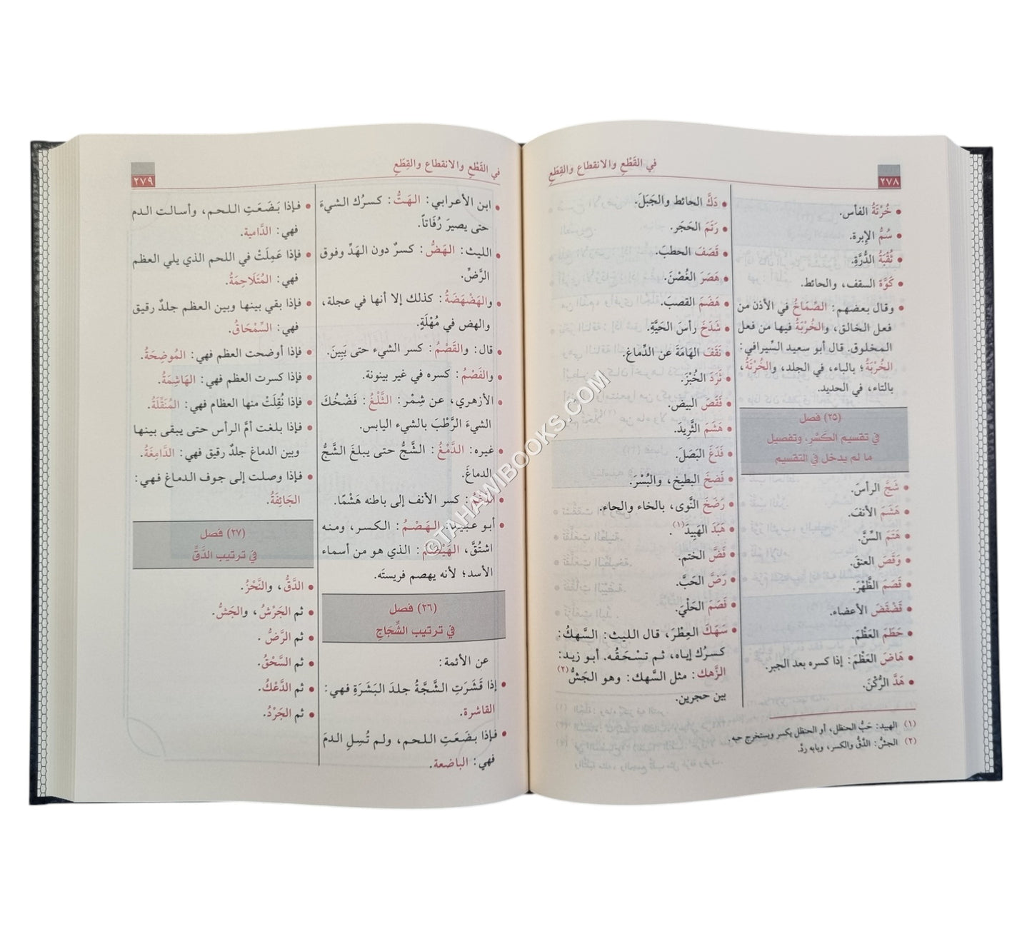 فقه اللغة وسر العربية-الرسالة ناشرون