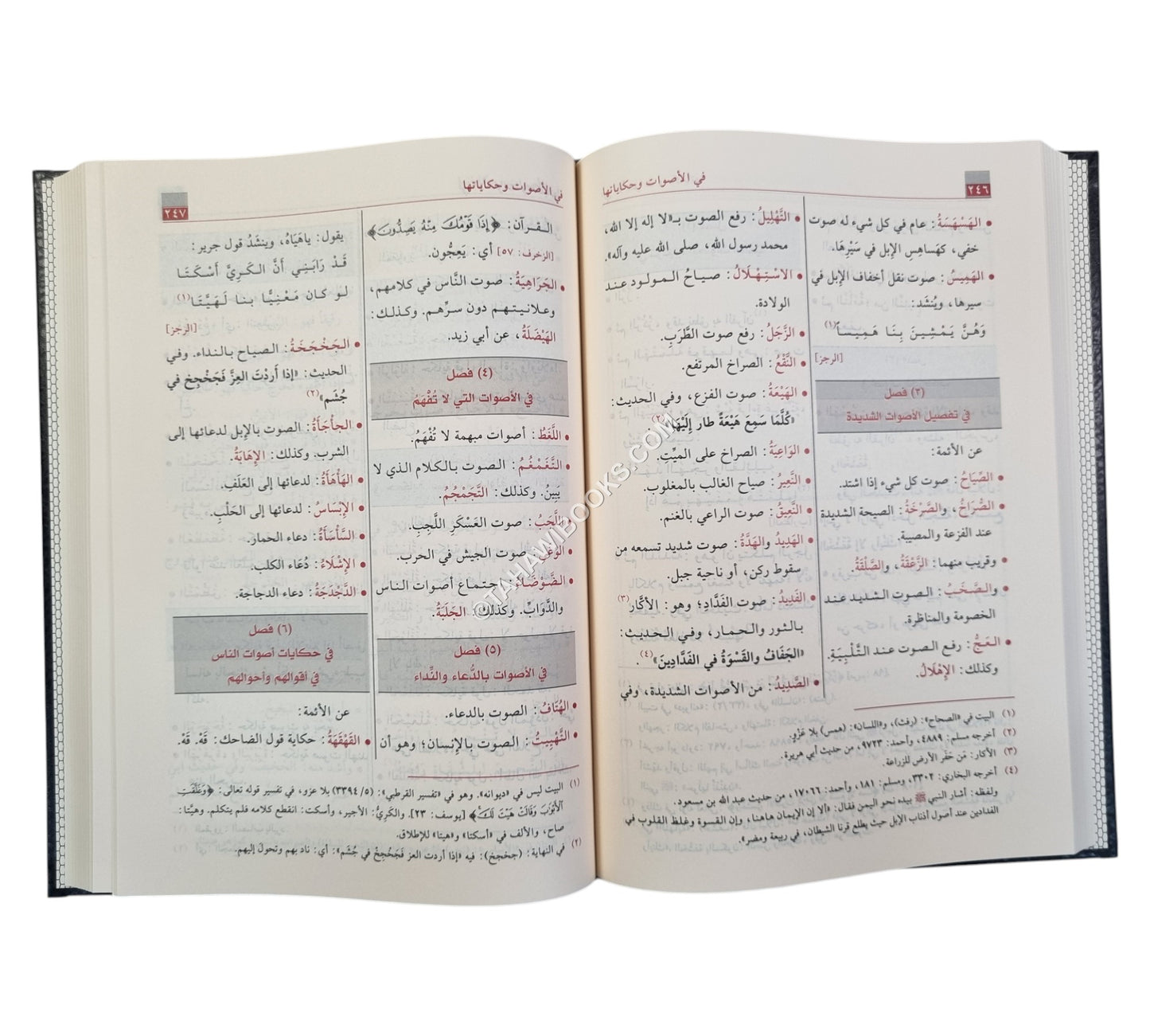 فقه اللغة وسر العربية-الرسالة ناشرون