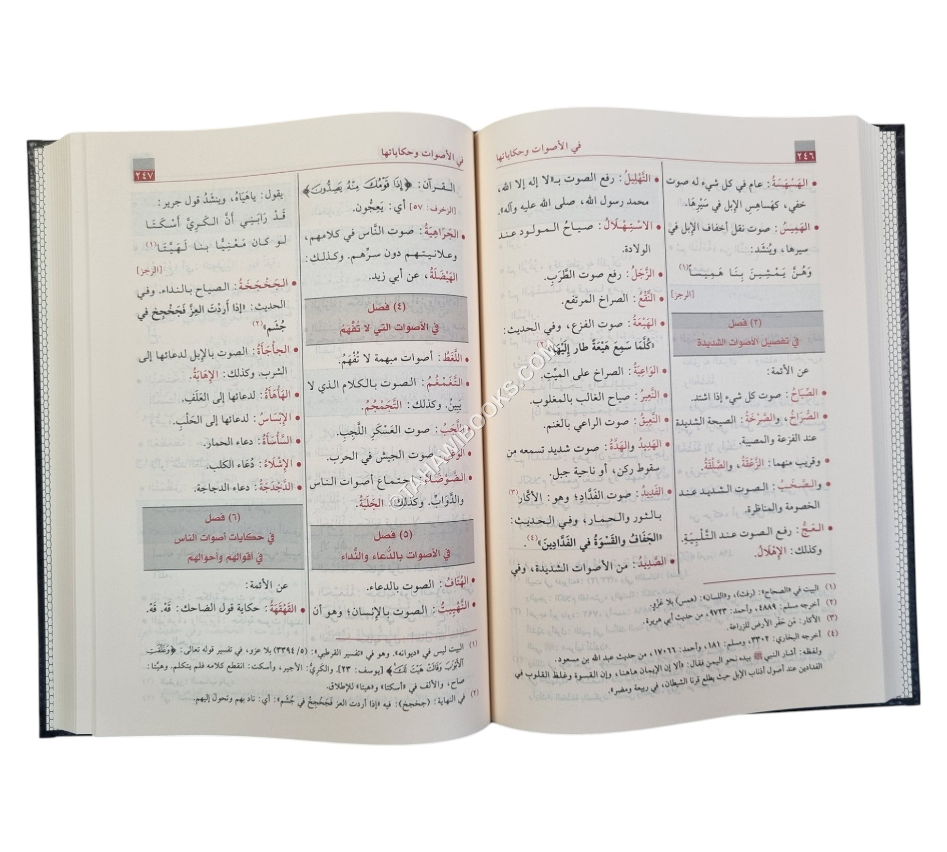 فقه اللغة وسر العربية-الرسالة ناشرون