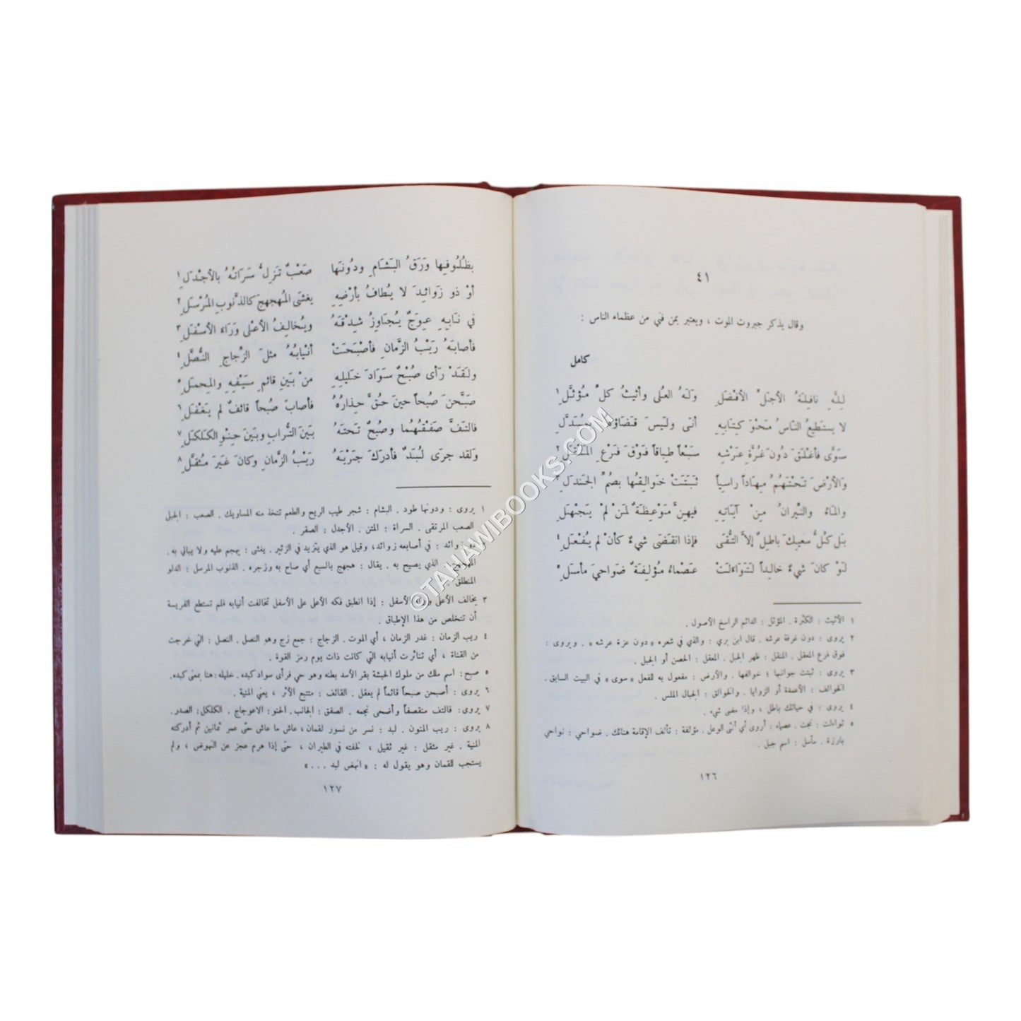 ديوان لبيد بن ربيعة العامري
