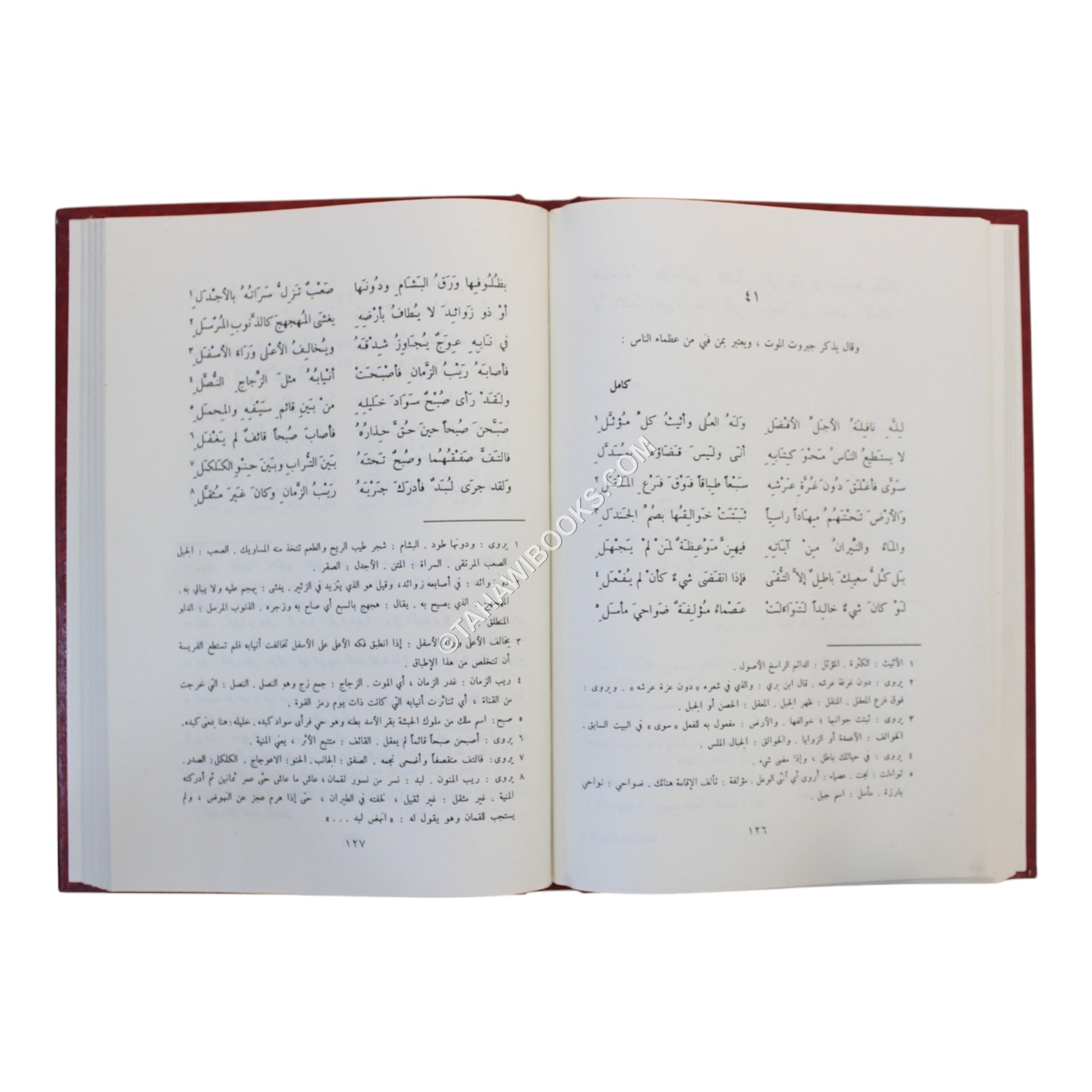 ديوان لبيد بن ربيعة العامري