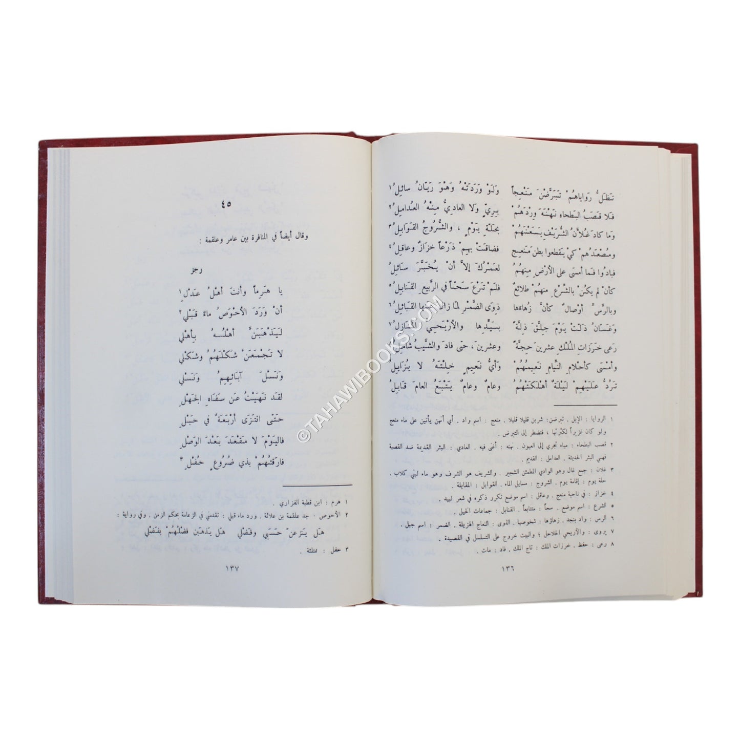 ديوان لبيد بن ربيعة العامري