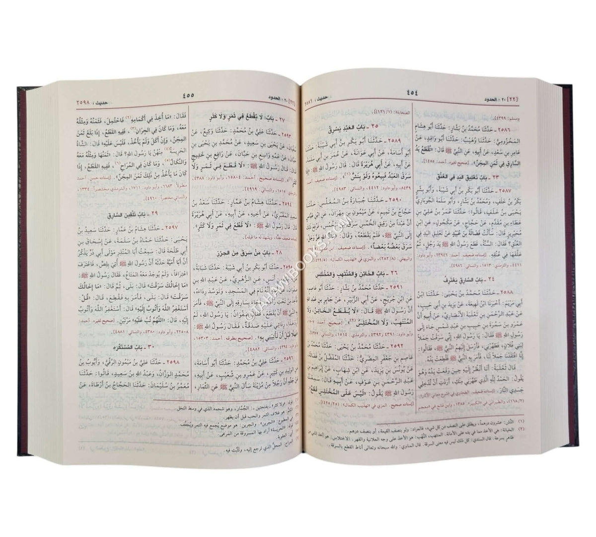 سنن ابن ماجه-الرسالة ناشرون