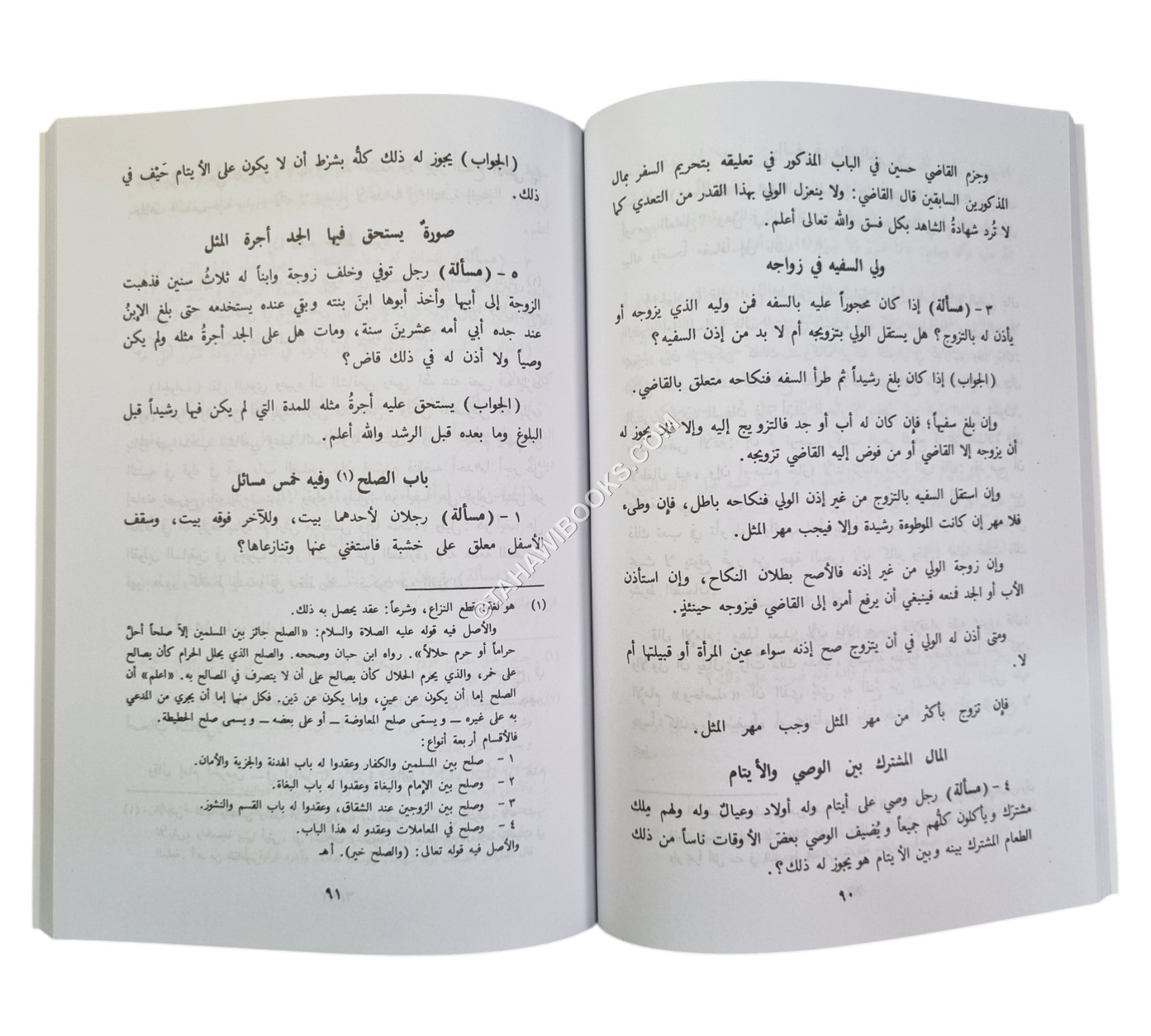 فتاوى الإمام النووي-العلمية