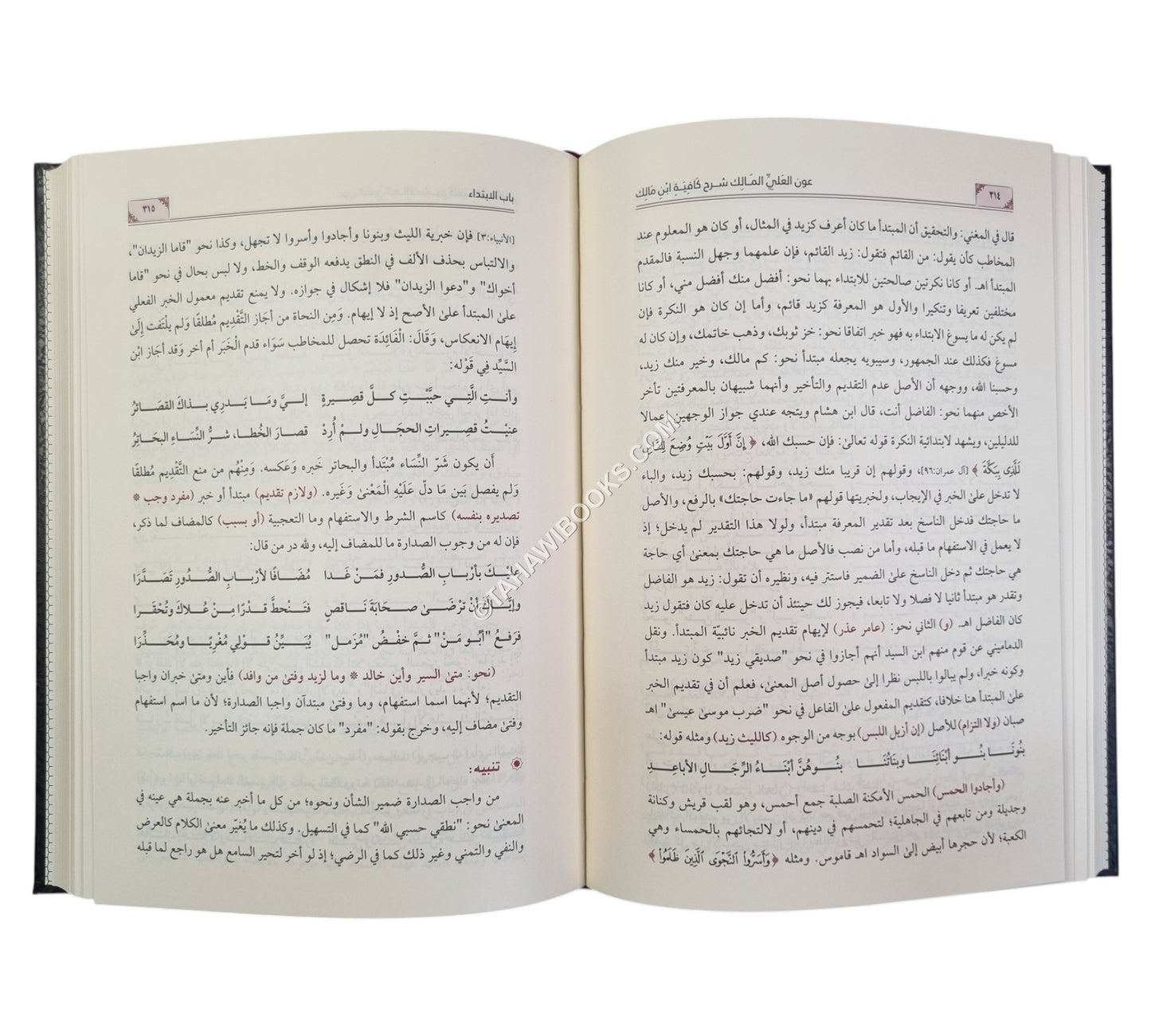 عون العلي المالك شرح كافية ابن مالك